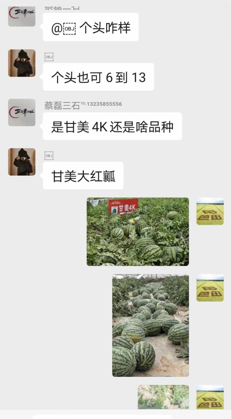 甘美4KF1西瓜种子进口种源皮薄含糖量15度耐裂性强易坐
