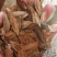 杜仲种子杜仲籽包芽率包邮批发零售均可