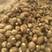 芋头8520毛芋头，产地批发货源充足，保质保量全国发货