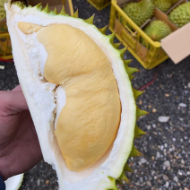 越南干尧榴莲，一件批发支持视频验货整柜切柜