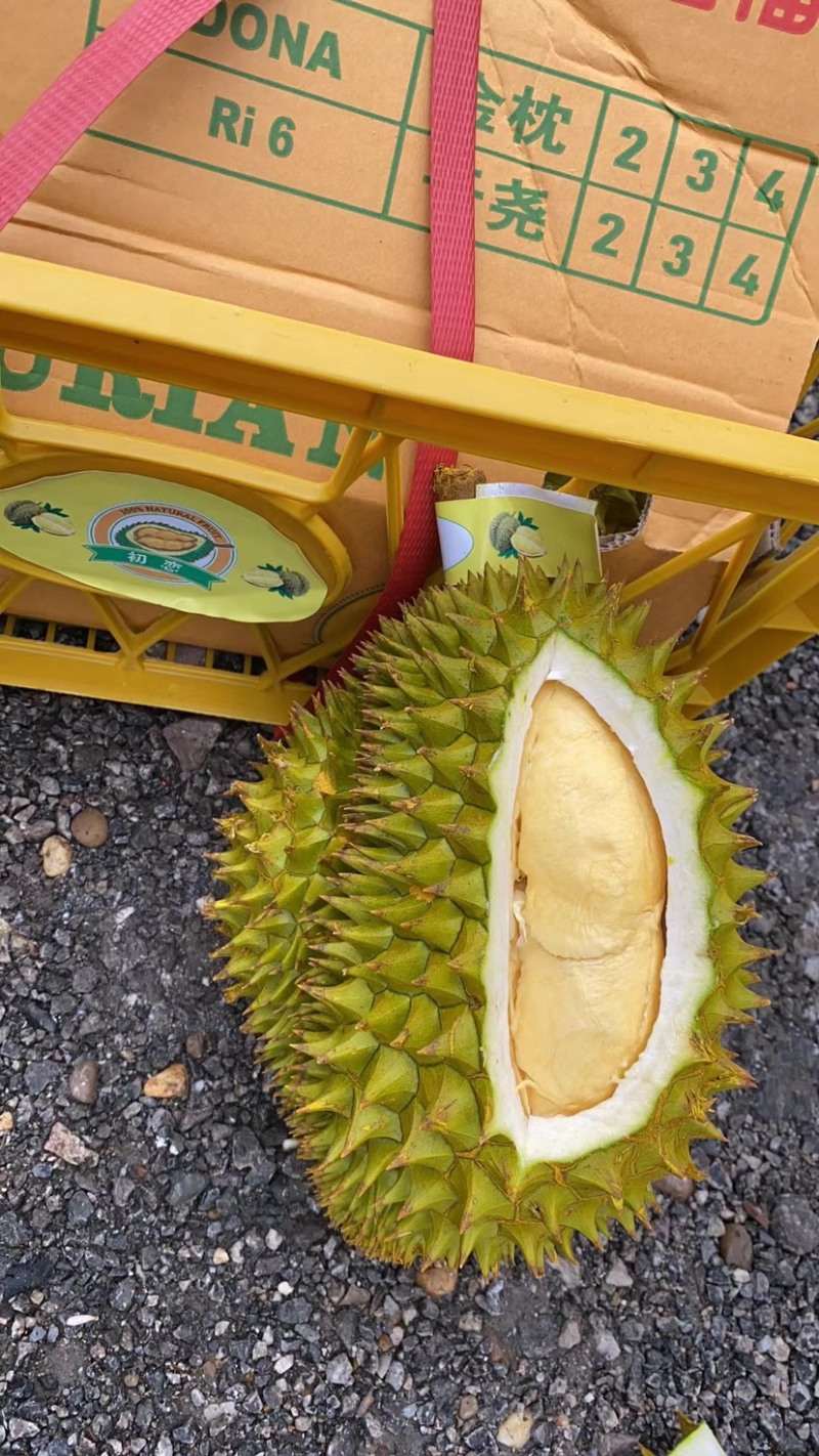 越南干尧榴莲，一件批发支持视频验货整柜切柜
