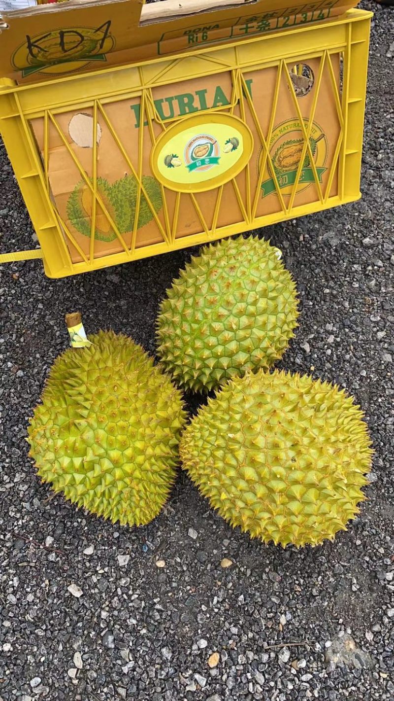 越南干尧榴莲，一件批发支持视频验货整柜切柜