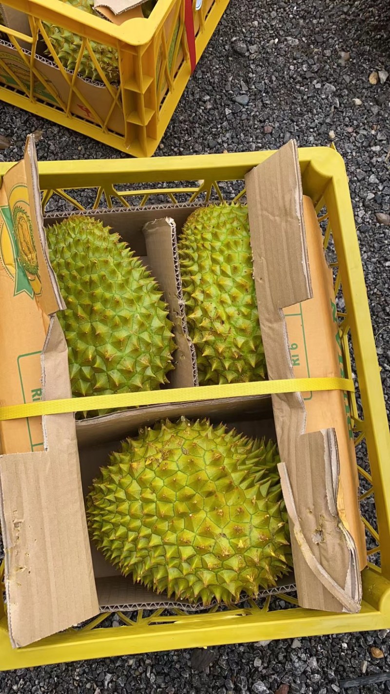 越南干尧榴莲，一件批发支持视频验货整柜切柜