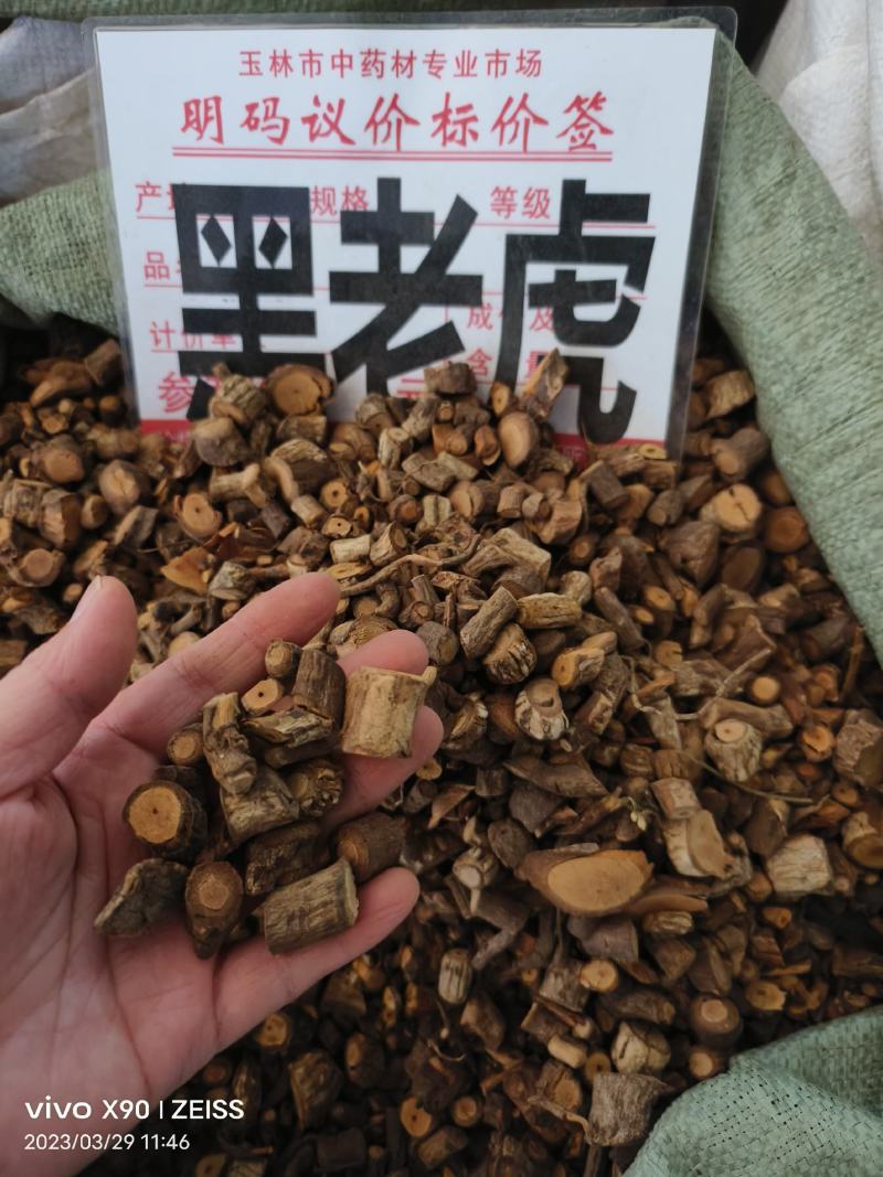 中药材黑老虎小条全根新货货源充足批发零售保证质量