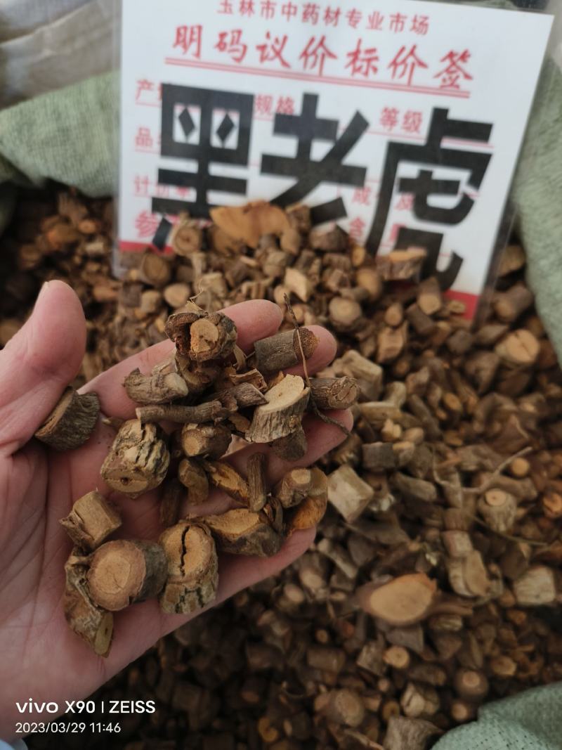 中药材黑老虎小条全根新货货源充足批发零售保证质量