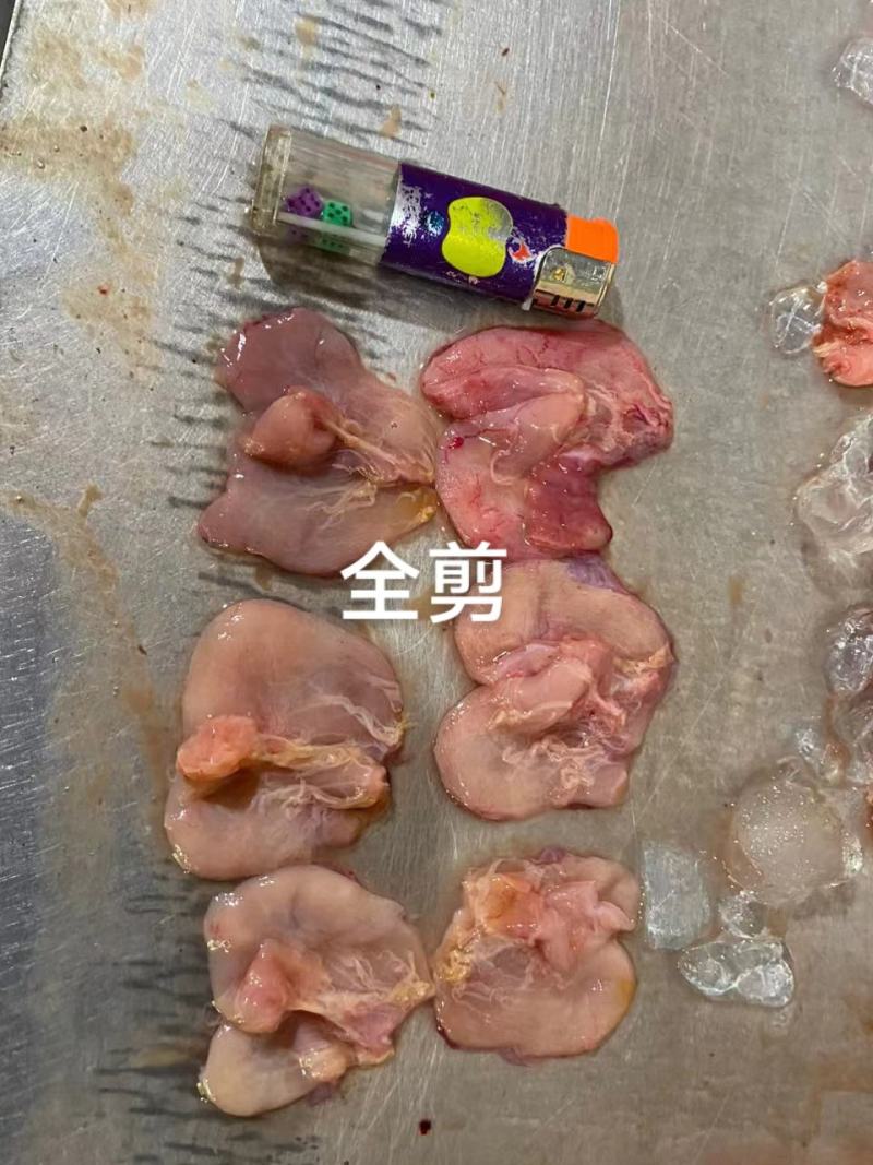 鱼肚、石斑鱼肚、巴沙鱼肚、鱼肚现货、长期供货