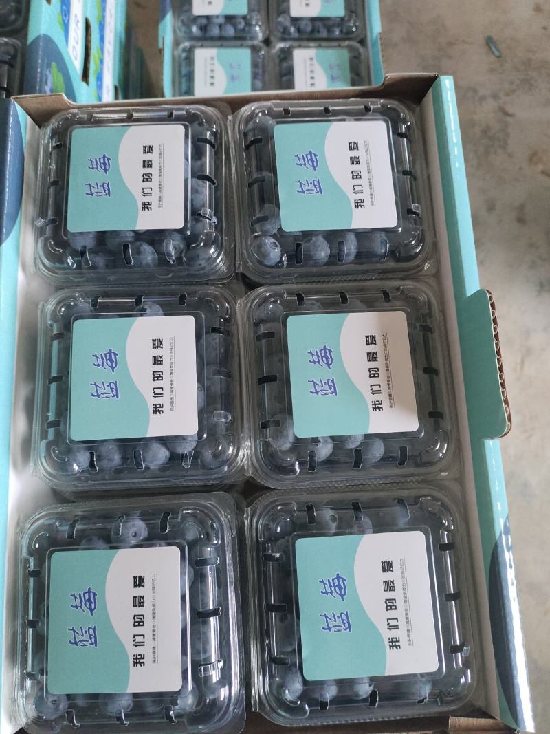 蓝莓
