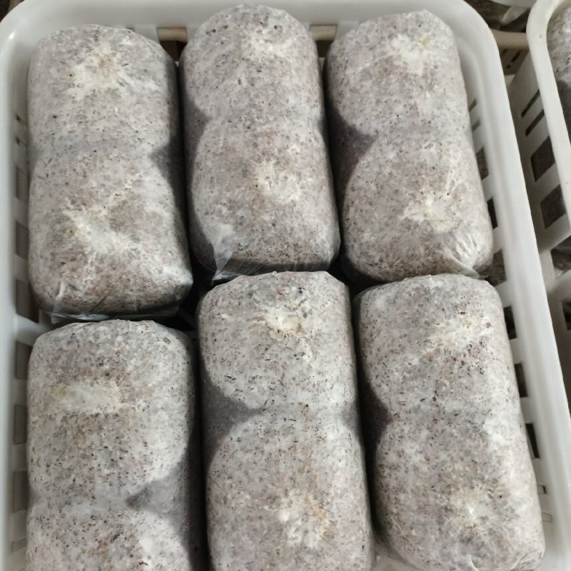 金耳菌包源头工厂，品质有保障，量大从优