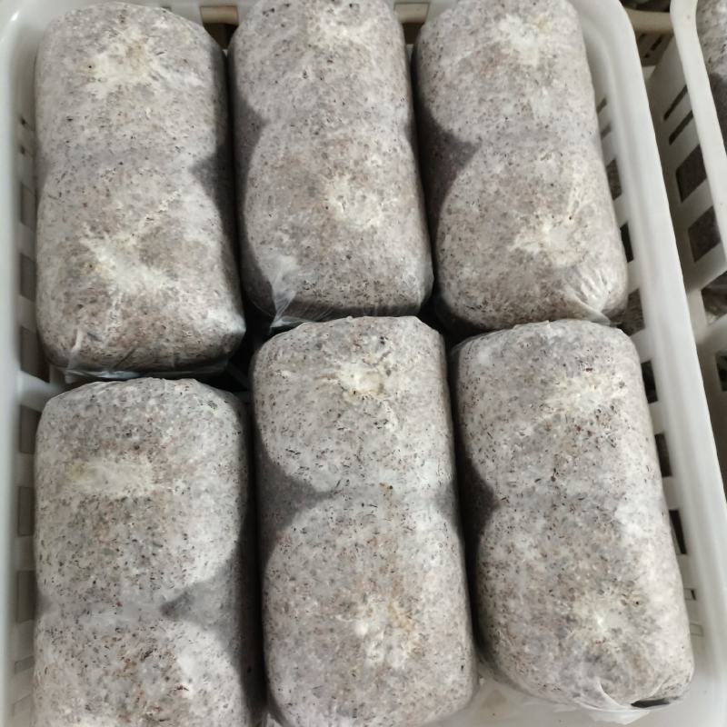 金耳菌包源头工厂，品质有保障，量大从优