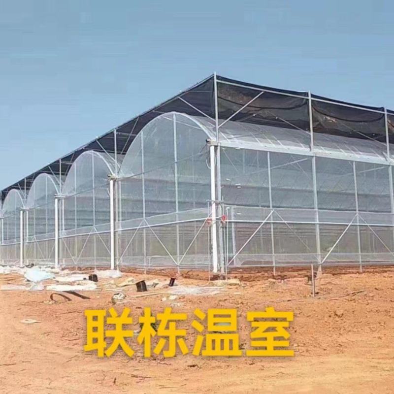 天津温室大棚厂家直销薄膜联动大棚品质保证