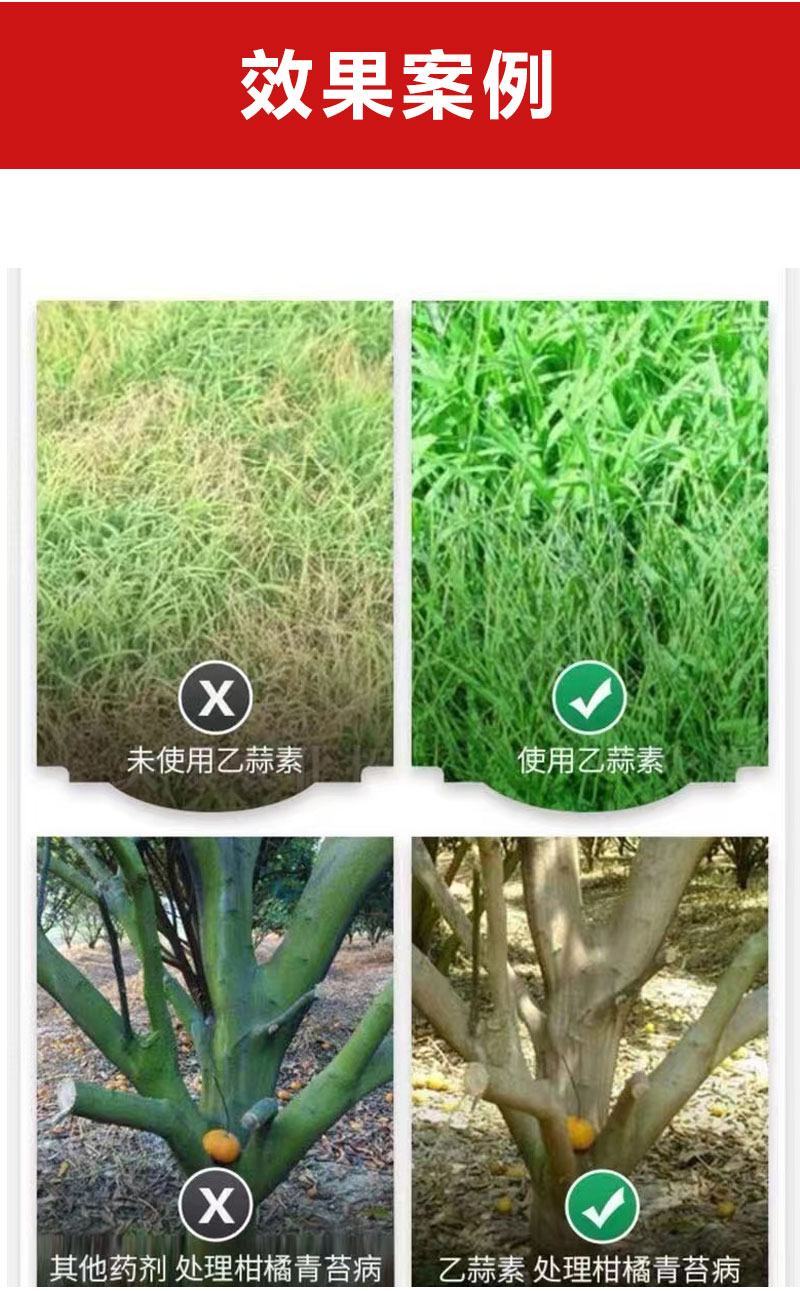 大地农化乙蒜素80%除青苔立枯病青枯病根腐病角斑病溃疡病