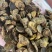 中药材正品元胡干净延胡索无硫玄胡足干元胡