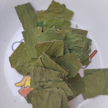 荷叶，荷叶块，可泡茶，纯绿色，荷叶干货大货批发