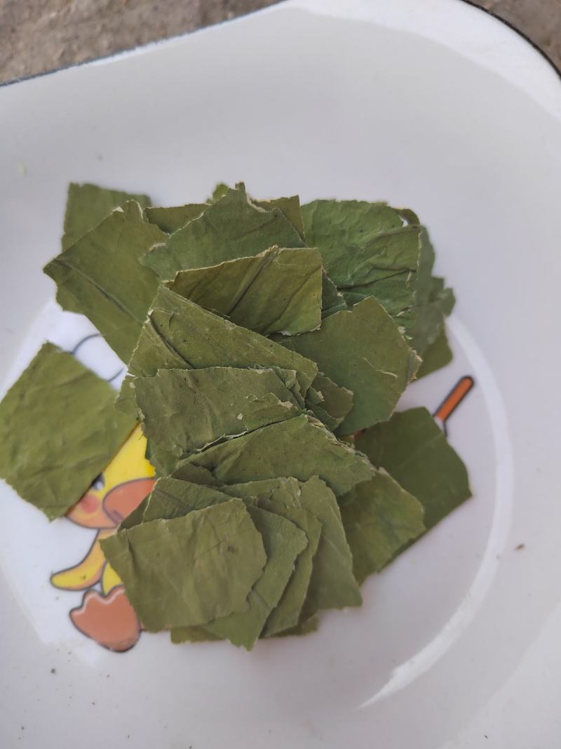 荷叶，荷叶块，可泡茶，纯绿色，荷叶干货大货批发