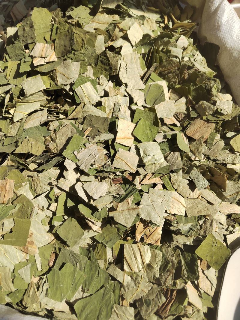 荷叶，荷叶块，可泡茶，纯绿色，荷叶干货大货批发