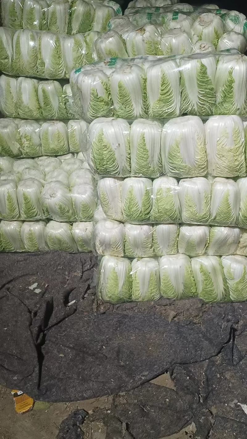 黄心白菜，无烧心，无虫眼，诚信代发，产地直发