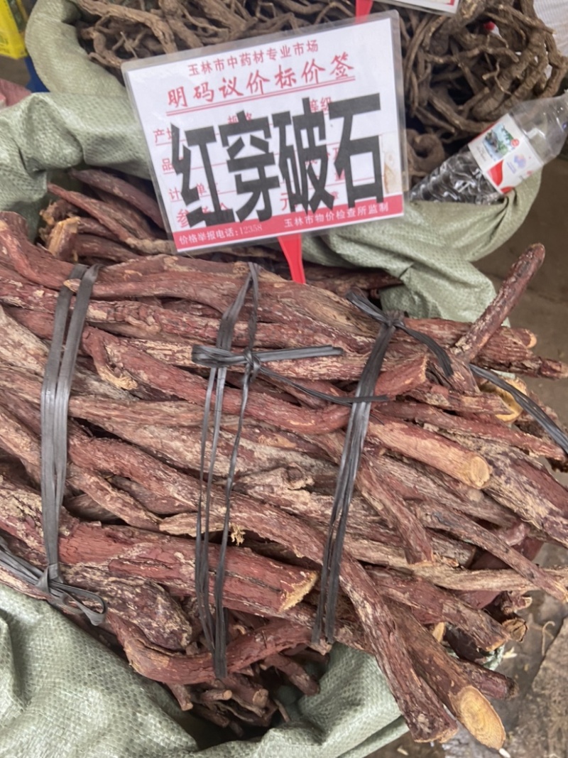 中药材野生红穿破石纯根状元红青藤根铁牛入石