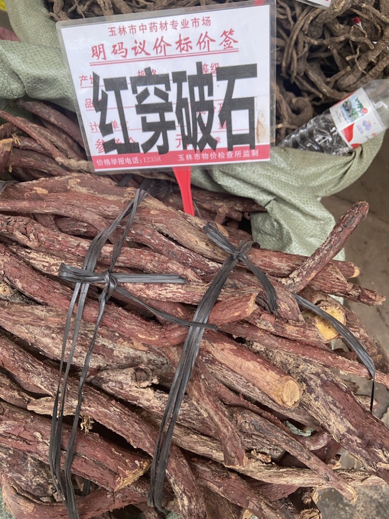 中药材野生红穿破石纯根状元红青藤根铁牛入石