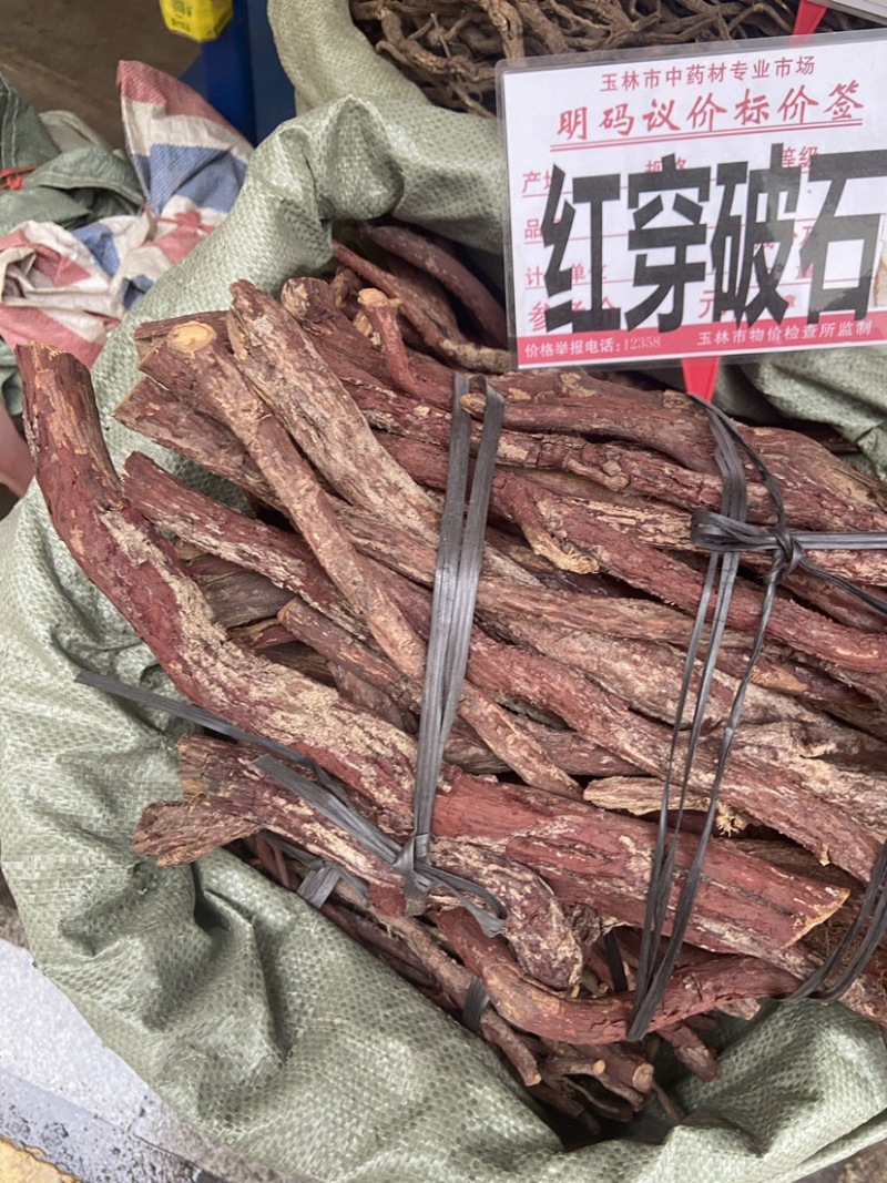 中药材野生红穿破石纯根状元红青藤根铁牛入石