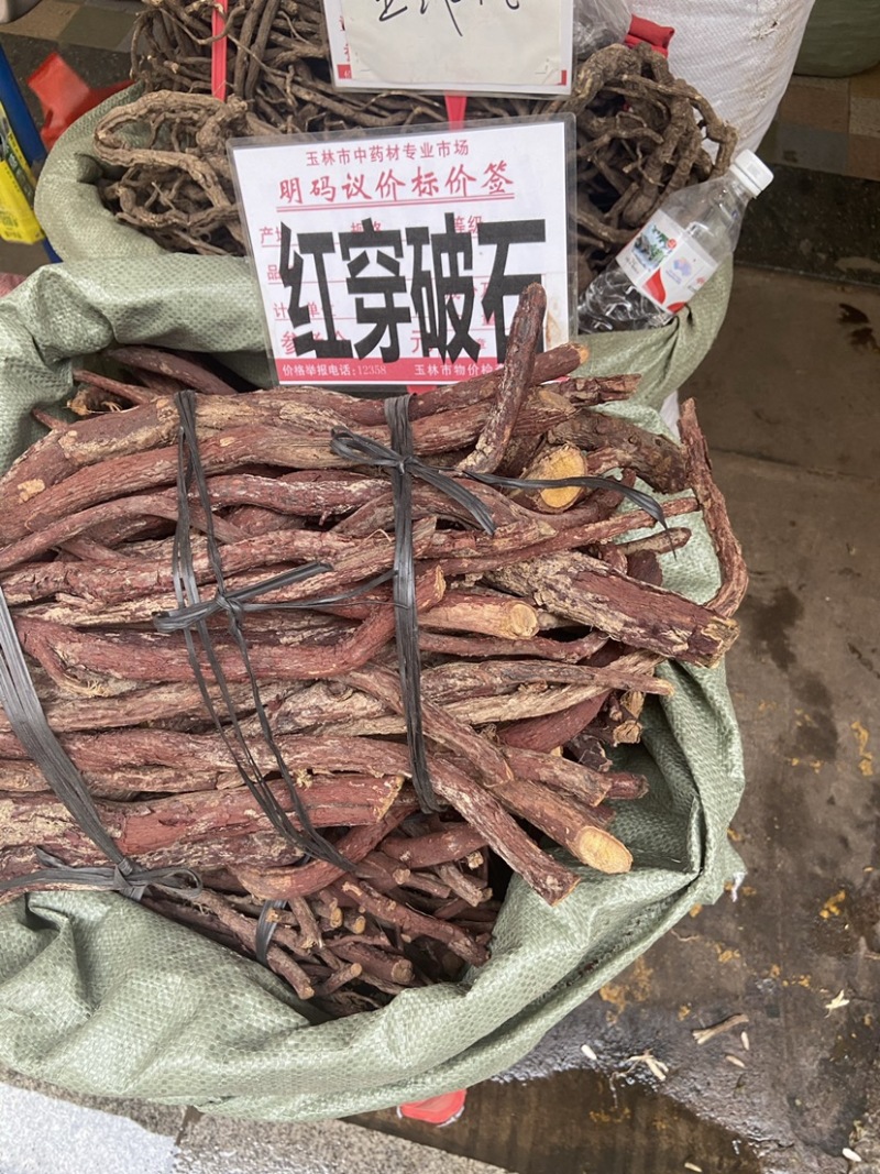 中药材野生红穿破石纯根状元红青藤根铁牛入石