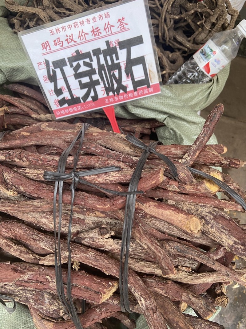 中药材野生红穿破石纯根状元红青藤根铁牛入石