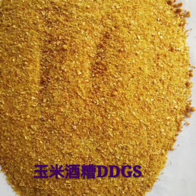 DDGS玉米酒糟