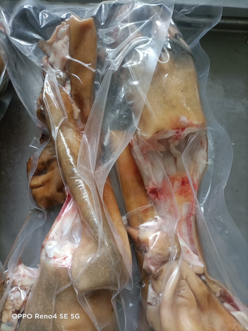 【热卖中】牛蹄草地牛现货充足发全国电话询价