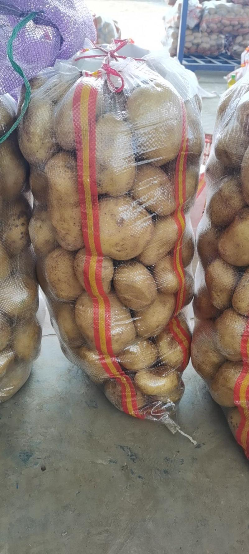 精品土豆，河南开封，黄心皮鲜优质土豆