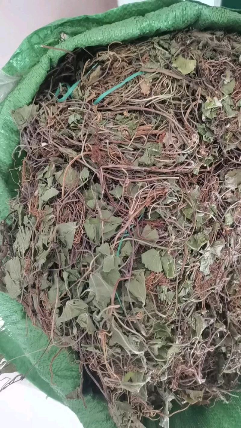 积雪草雷公根野生全干无硫长自贵州高原大货一手货源商