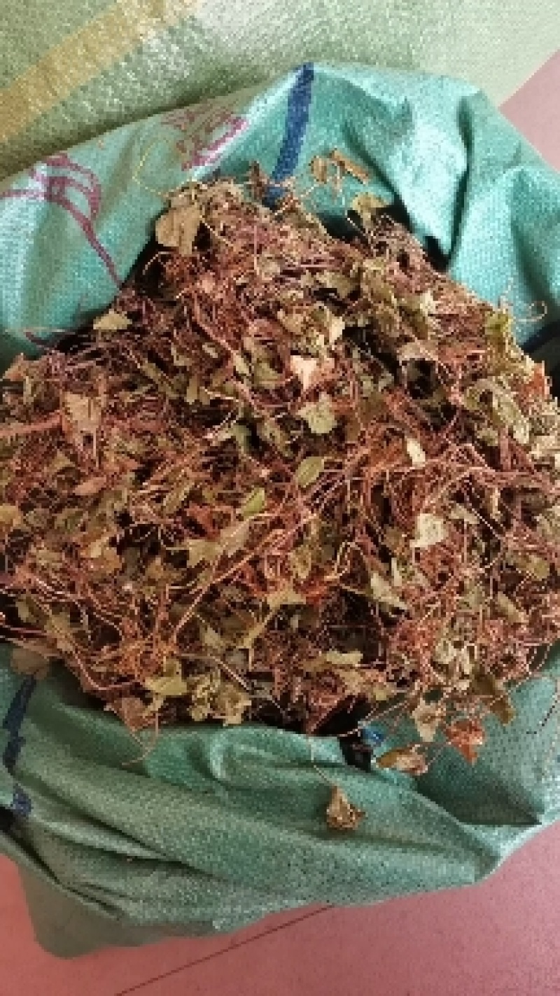 积雪草雷公根野生全干无硫长自贵州高原大货一手货源商
