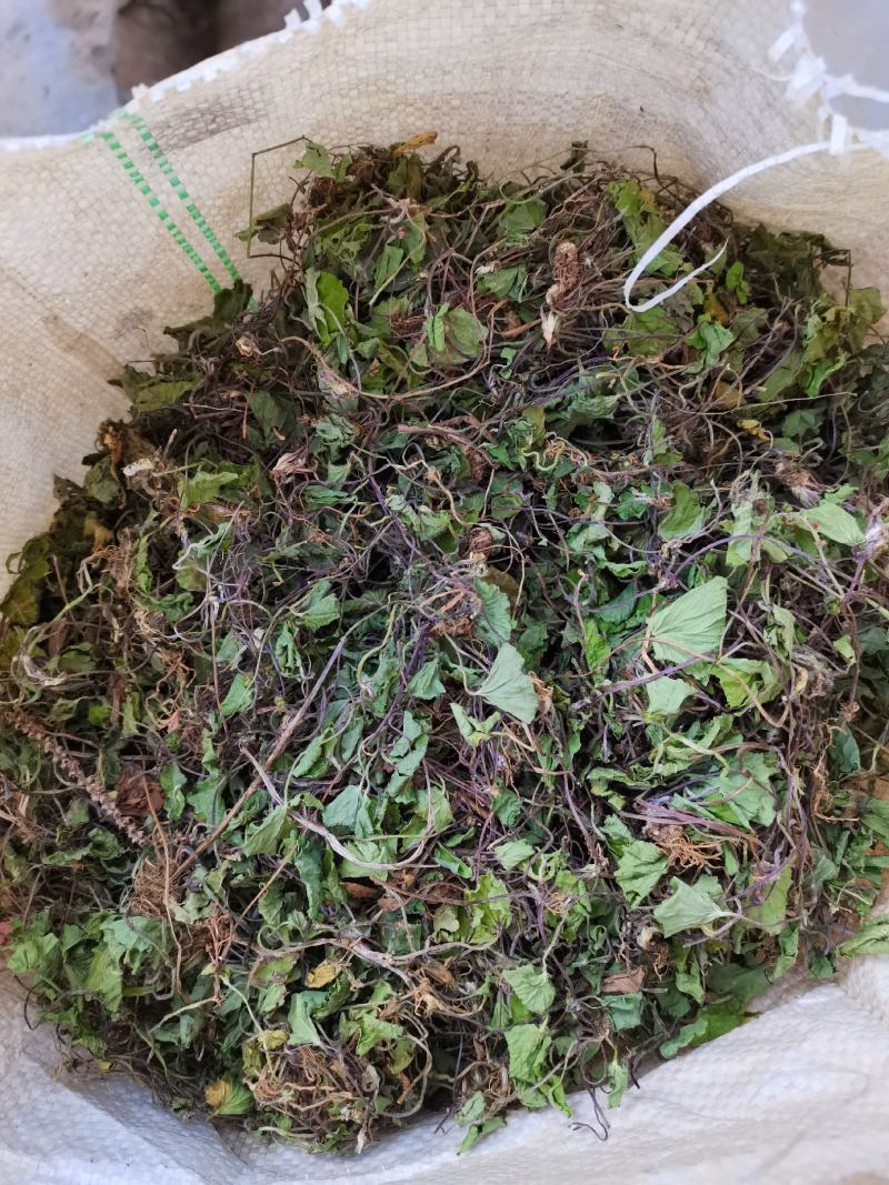 积雪草雷公根野生全干无硫长自贵州高原大货一手货源商