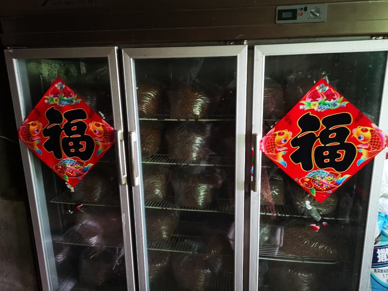 毛桃种子