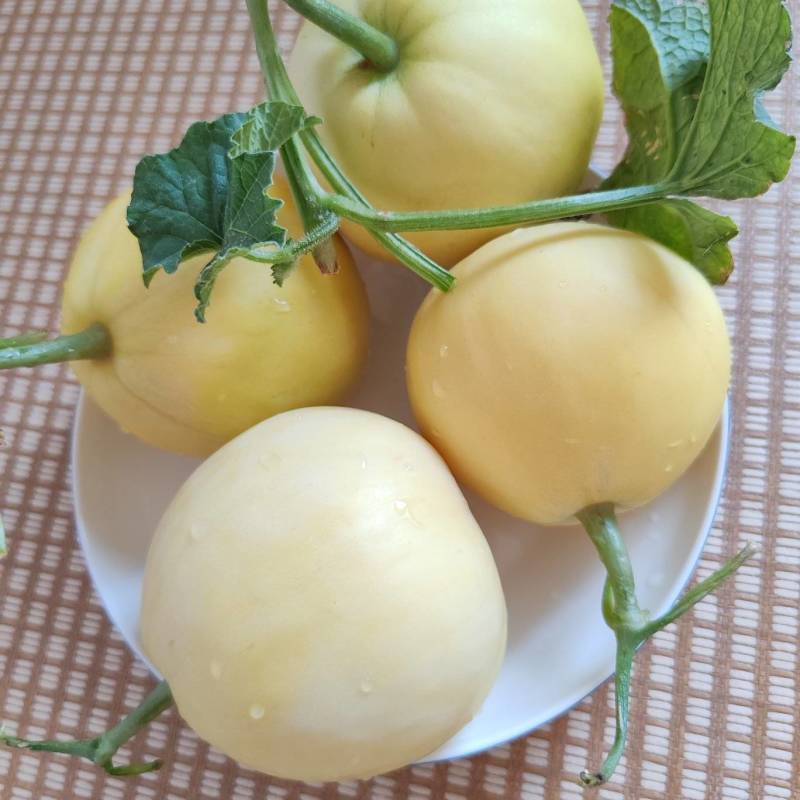 沂蒙山蜜罐甜瓜
