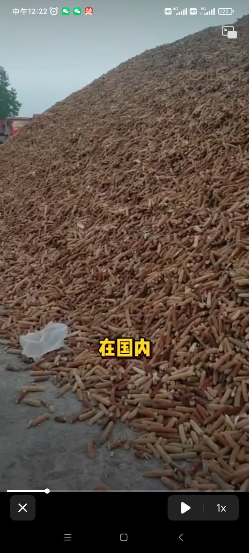 玉米芯