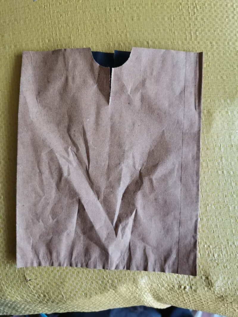 出售梨袋，中号15*18厂家直销，质量好，接受预定