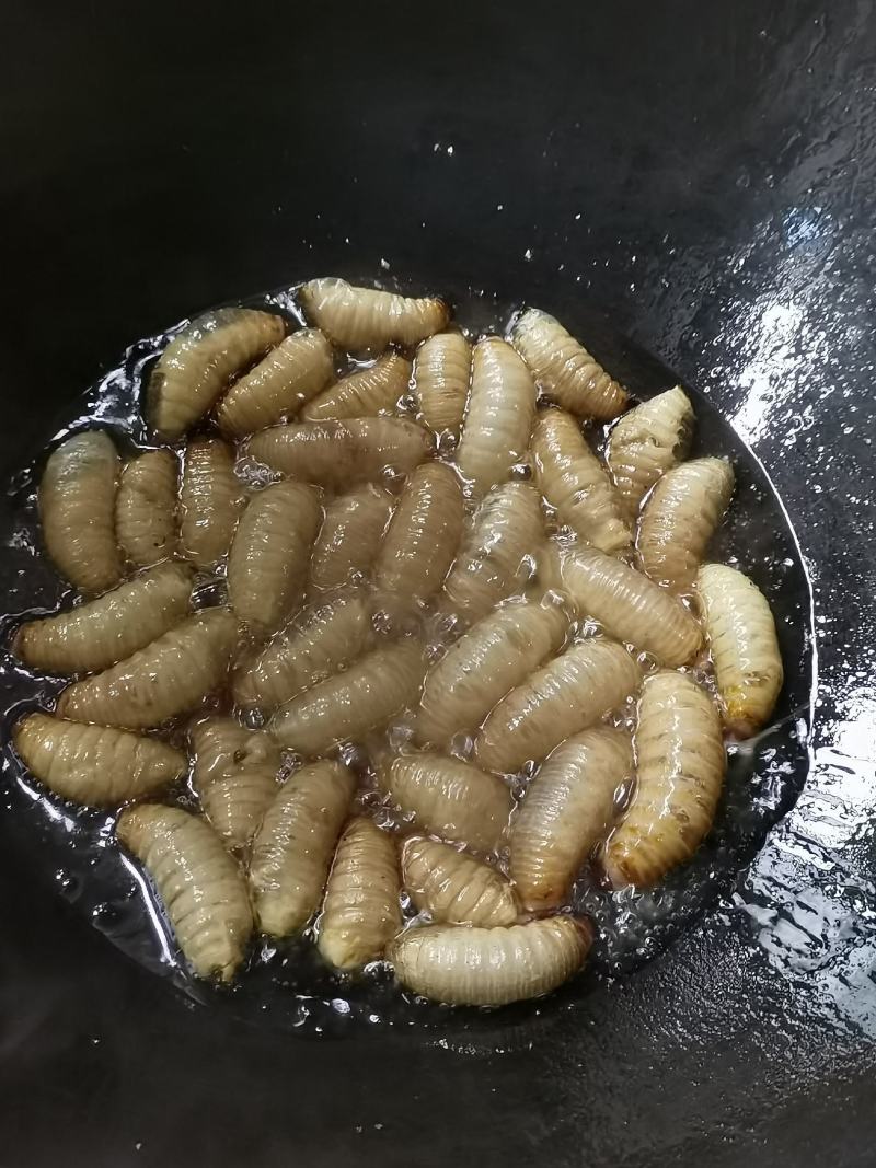 养殖新鲜竹笋虫冰鲜冰冻竹虫