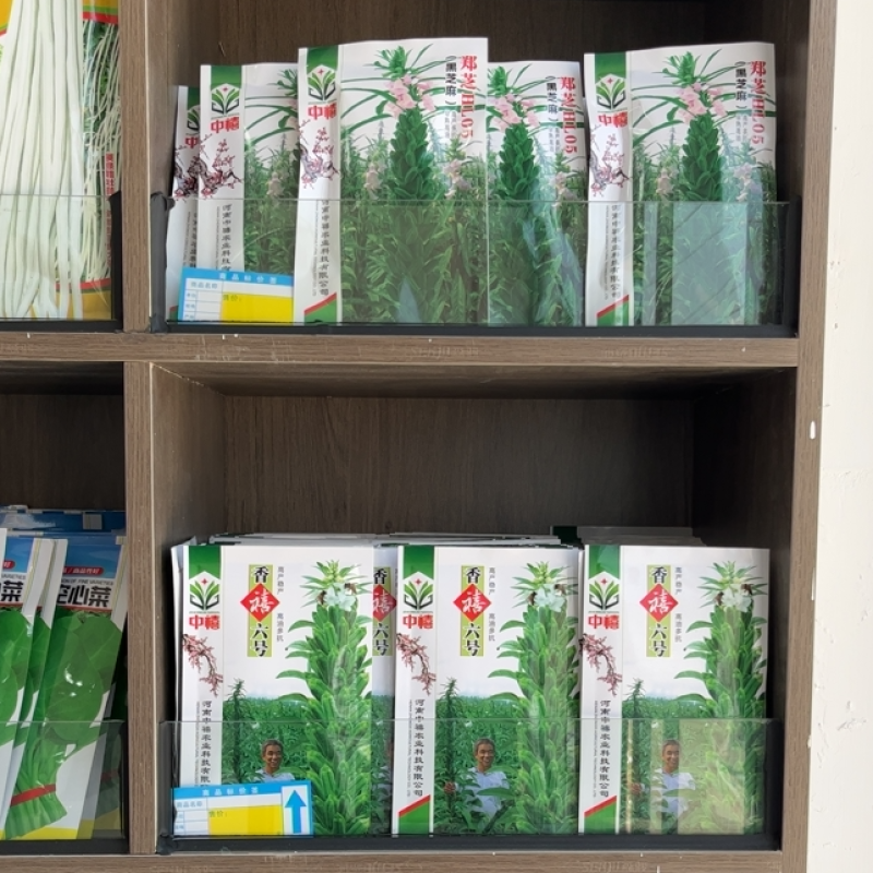 优质黑芝麻白芝麻产量高纯度高产量高出油率高品质好