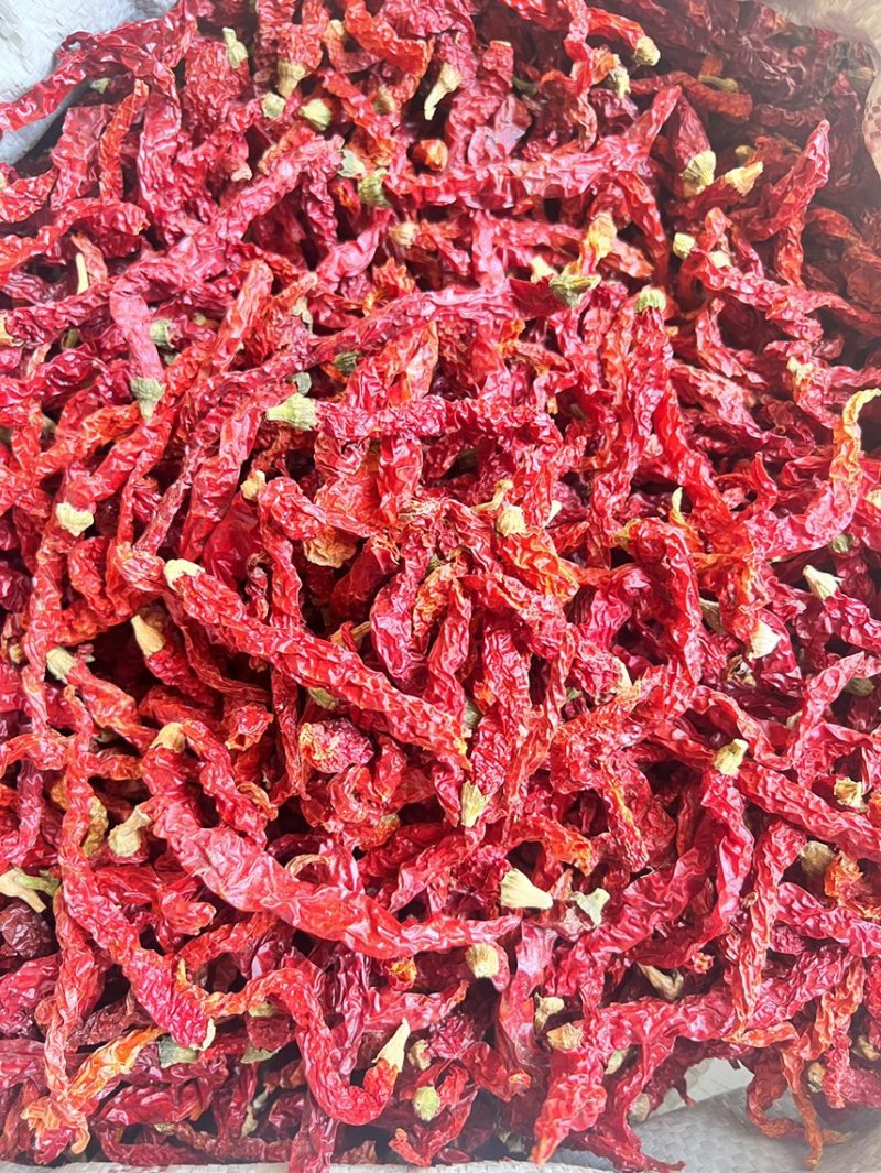 线椒干辣椒，香辣可口，可切段打粉量大从优，二斤条带帽净货