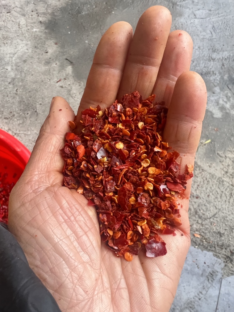 线椒干辣椒，香辣可口，可切段打粉量大从优，二斤条带帽净货