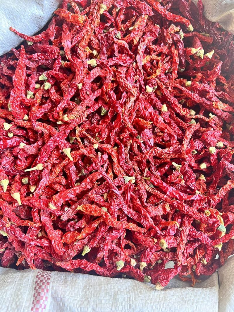线椒干辣椒，香辣可口，可切段打粉量大从优，二斤条带帽净货