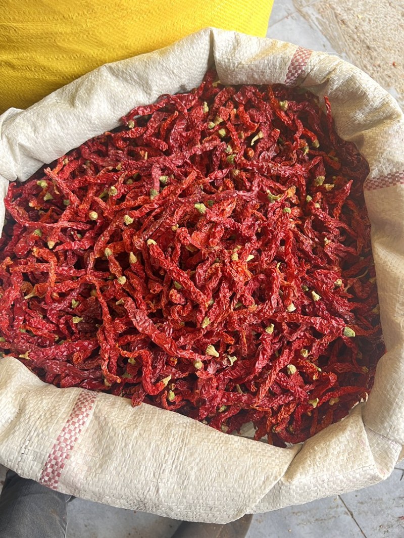 线椒干辣椒，香辣可口，可切段打粉量大从优，二斤条带帽净货