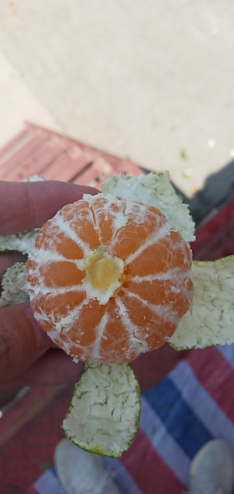 湖南澧县早熟无核蜜橘柑桔皮薄价格美丽品质保证货源足