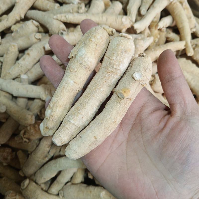 .西洋参条500克花旗参片泡水煮汤参段腿山东西洋参批发