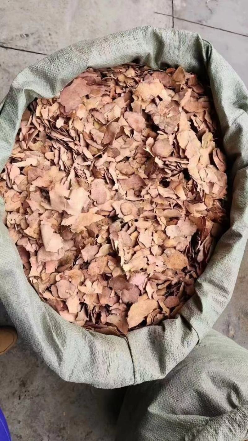 土茯苓川内土茯苓
