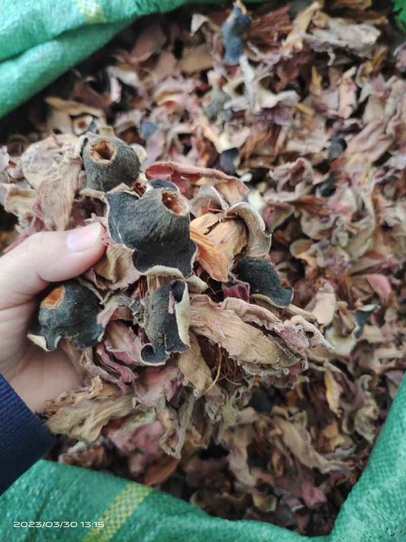 中药材木棉花新货货源充足批发零售