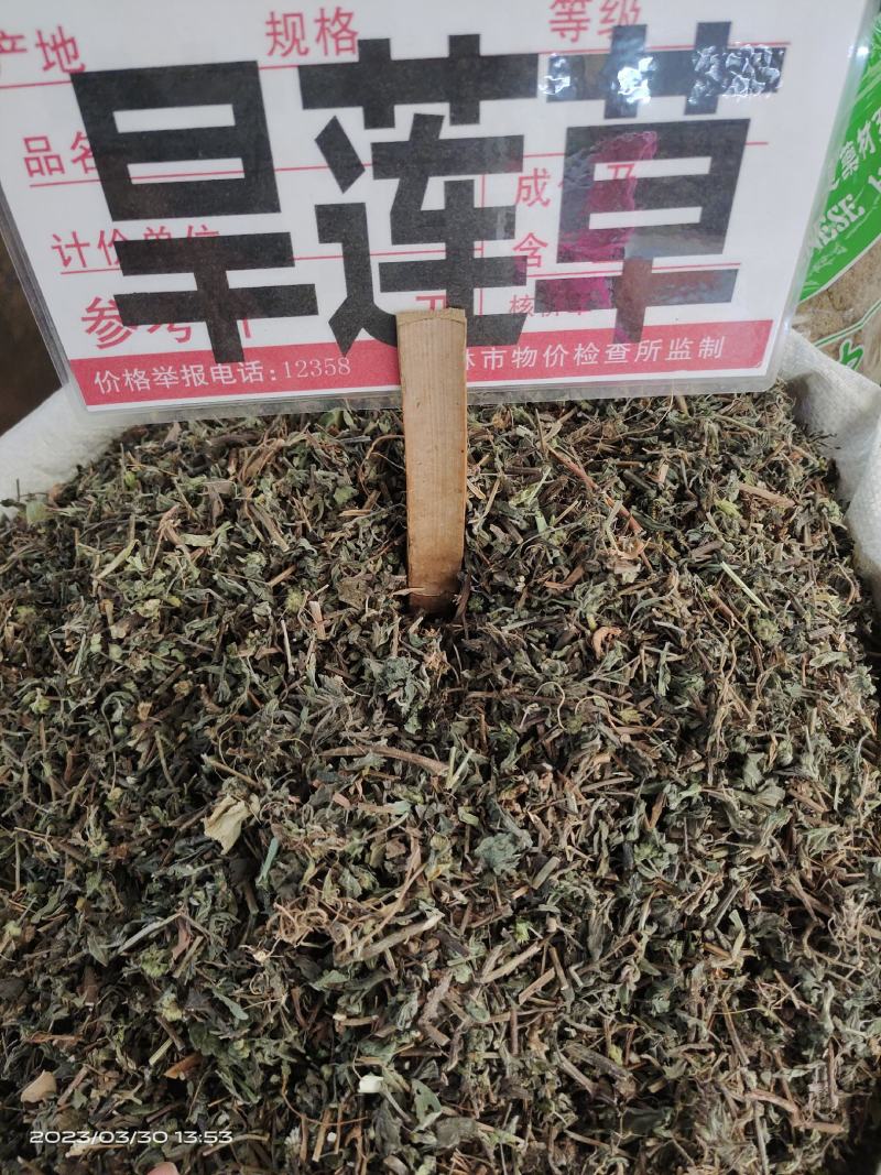 中药材旱莲草新货货源充足批发零售保证质量
