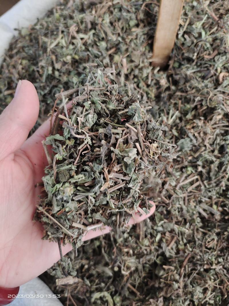 中药材旱莲草新货货源充足批发零售保证质量