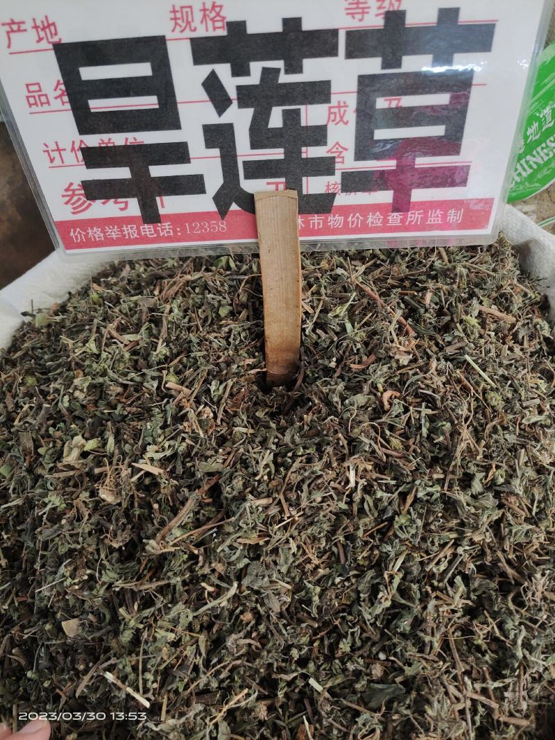 中药材旱莲草新货货源充足批发零售保证质量