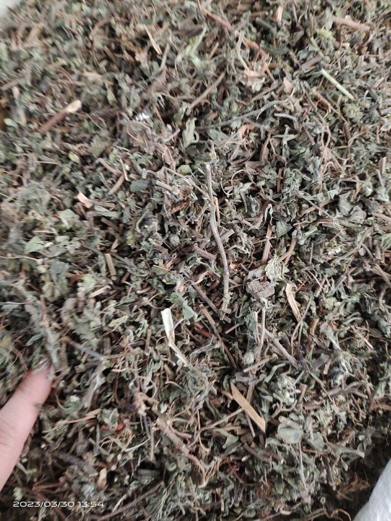 中药材旱莲草新货货源充足批发零售保证质量