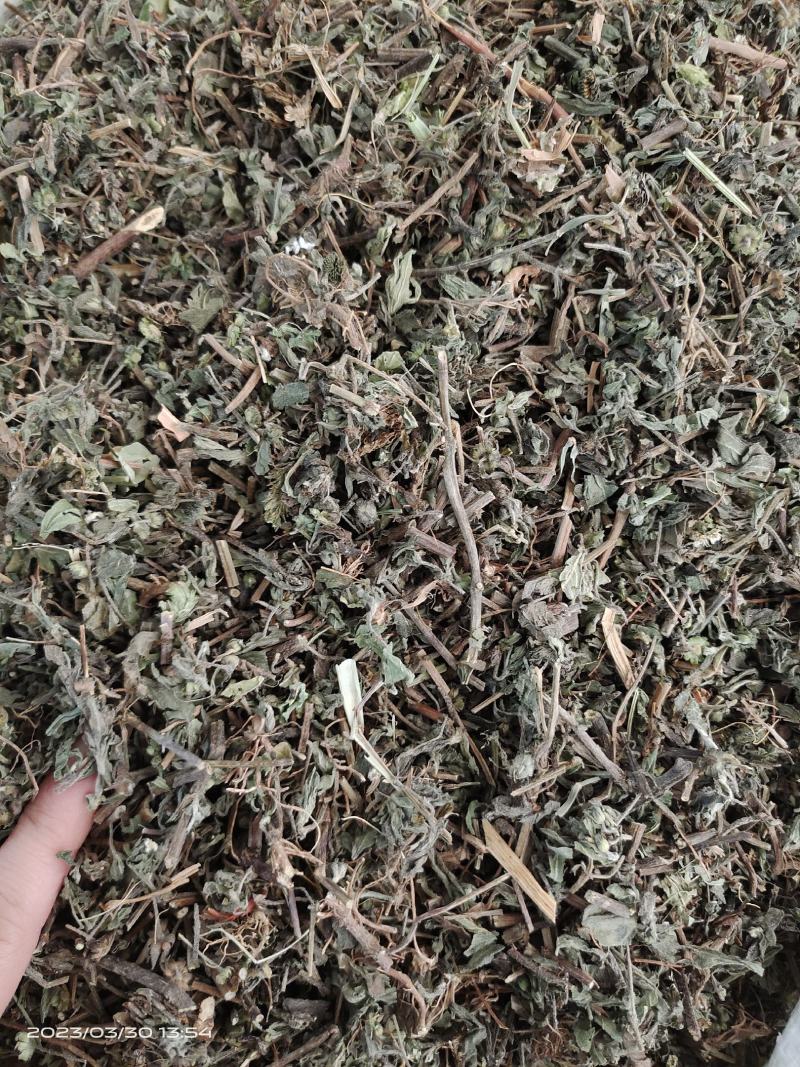 中药材旱莲草新货货源充足批发零售保证质量